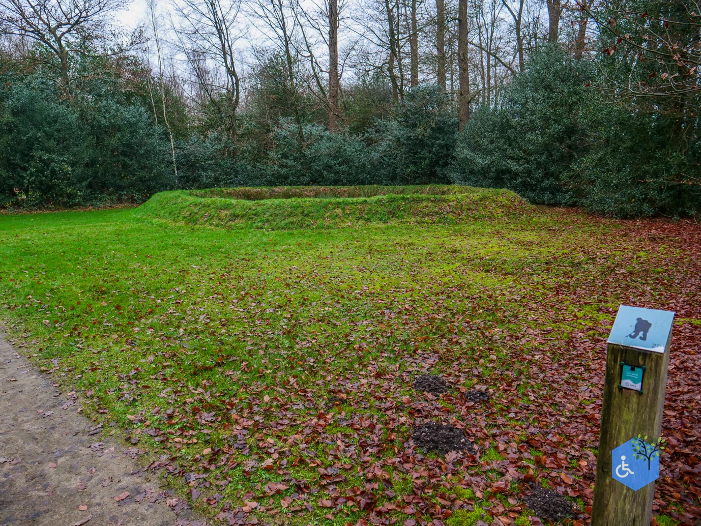 Vaassen_Kasteelpark_Cannenburch_17-12-2025-20