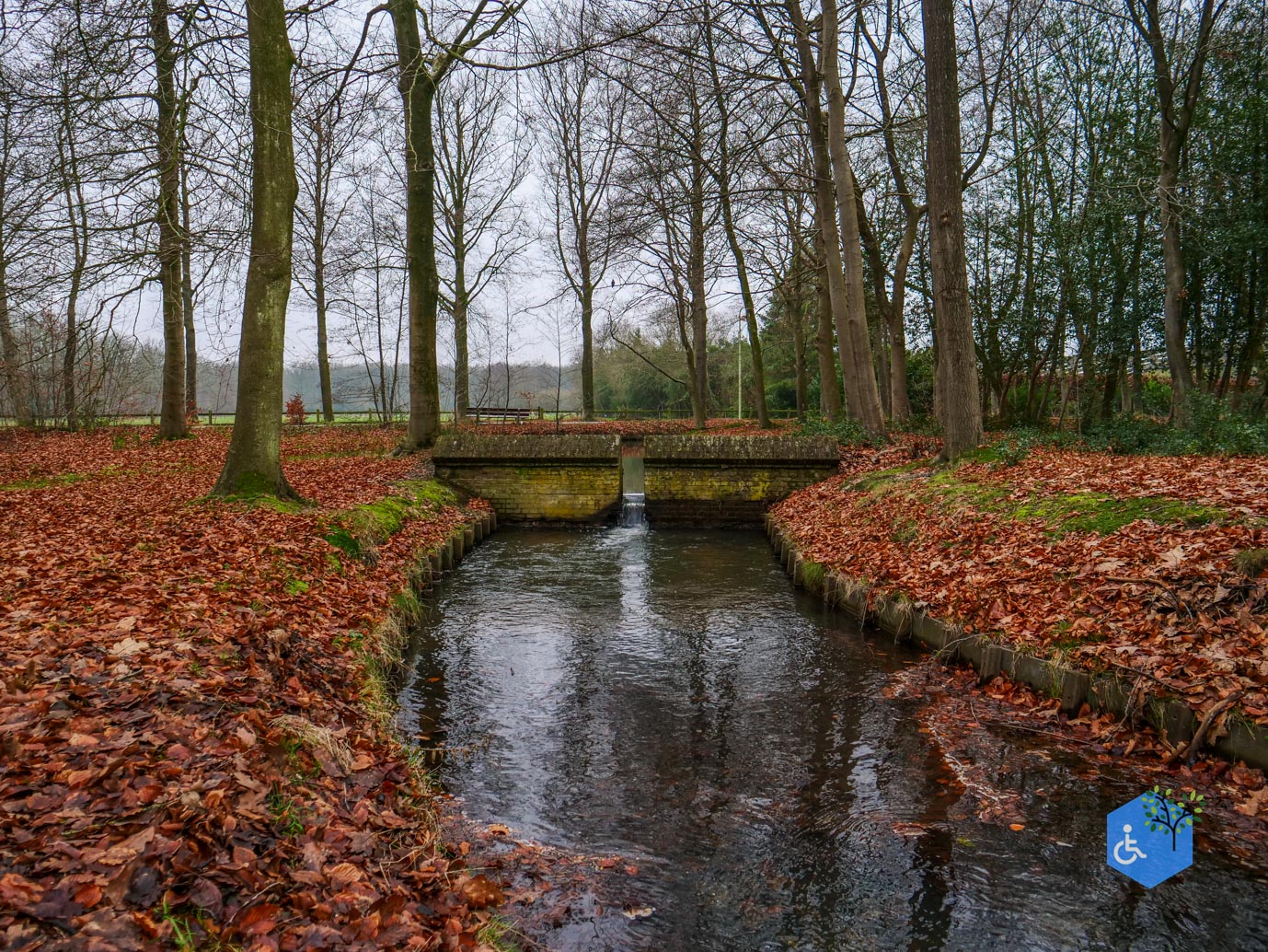 Vaassen_Kasteelpark_Cannenburch_17-12-2025-26
