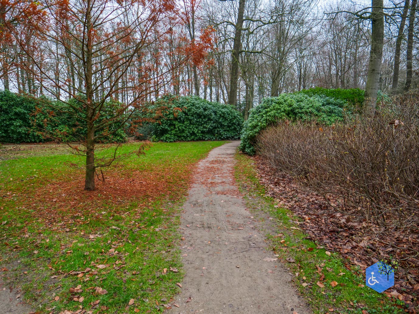 Vaassen_Kasteelpark_Cannenburch_17-12-2025-27