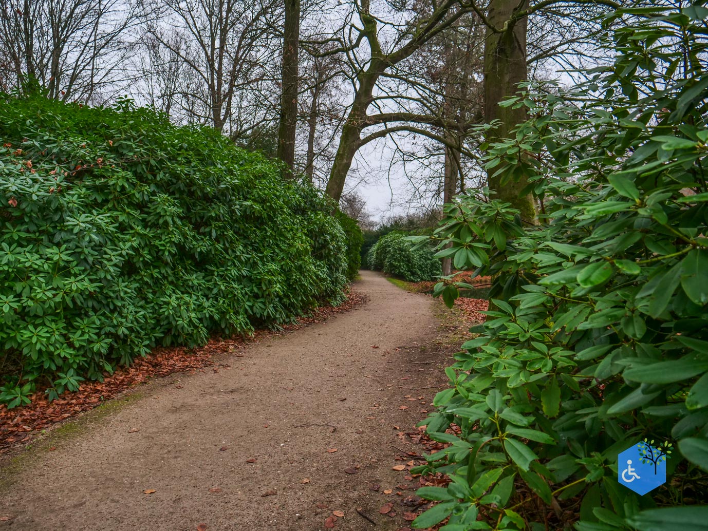 Vaassen_Kasteelpark_Cannenburch_17-12-2025-28