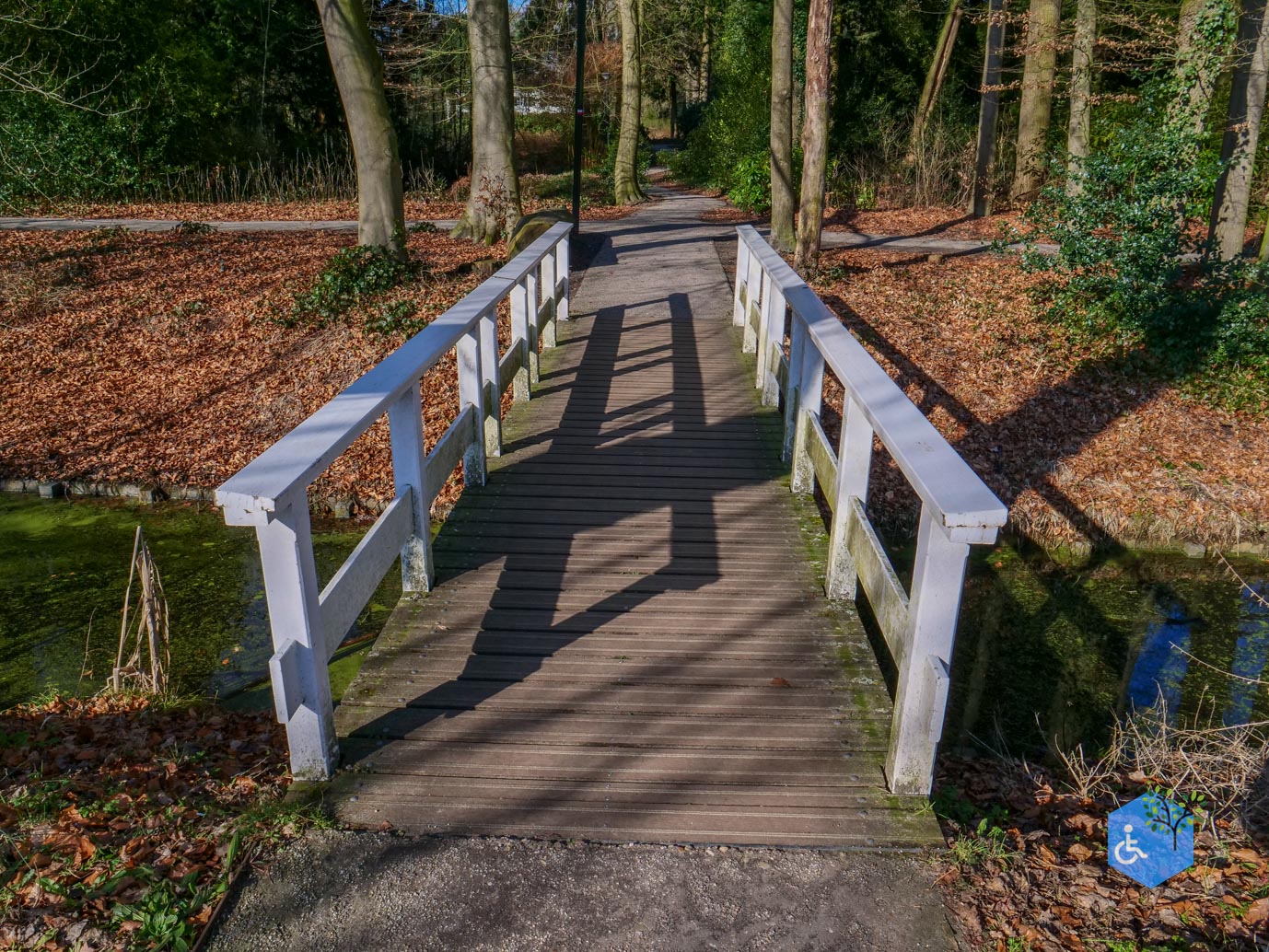 Amersfoort_Het_Beekdal_en_Park_Randenbroek_14-02-2026-04