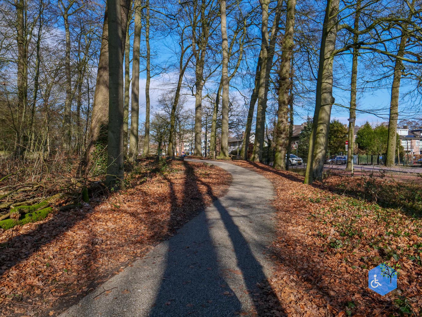 Amersfoort_Het_Beekdal_en_Park_Randenbroek_14-02-2026-08