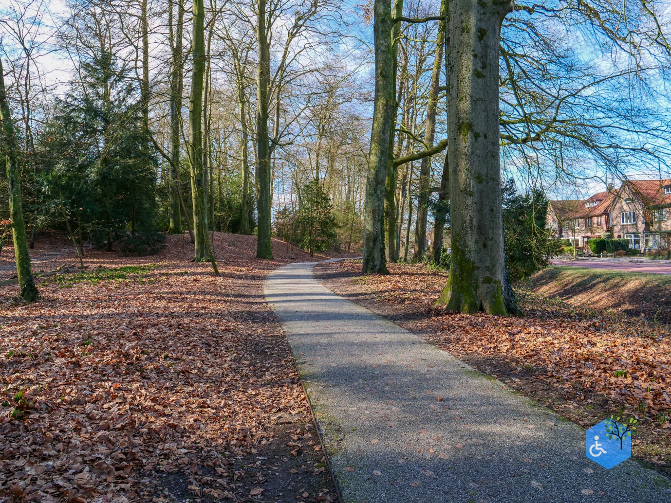 Amersfoort_Het_Beekdal_en_Park_Randenbroek_14-02-2026-20