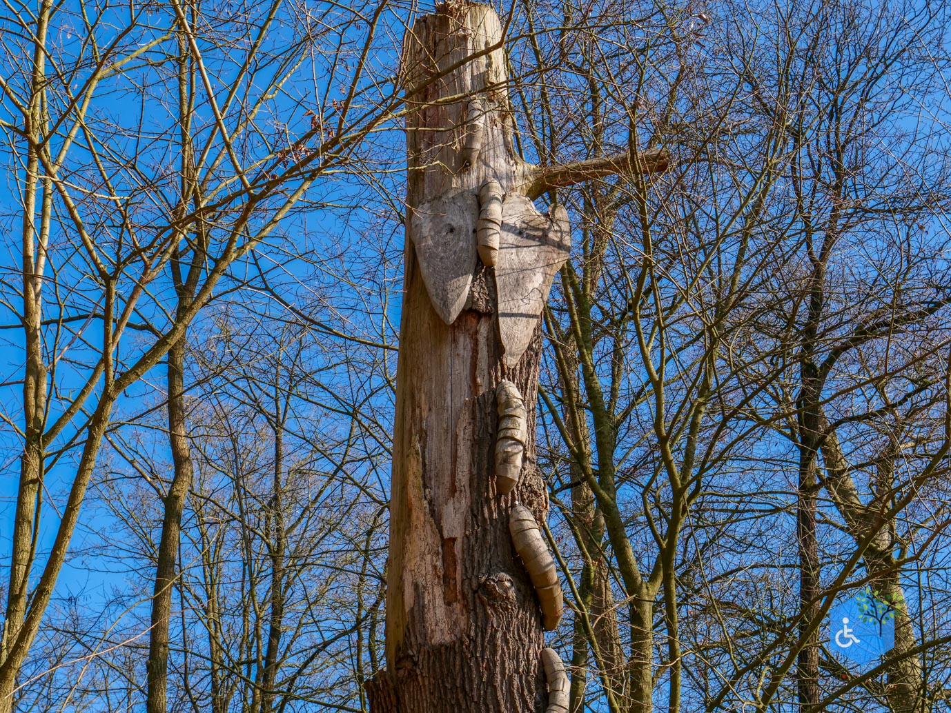 Amersfoort_Het_Beekdal_en_Park_Randenbroek_14-02-2026-43