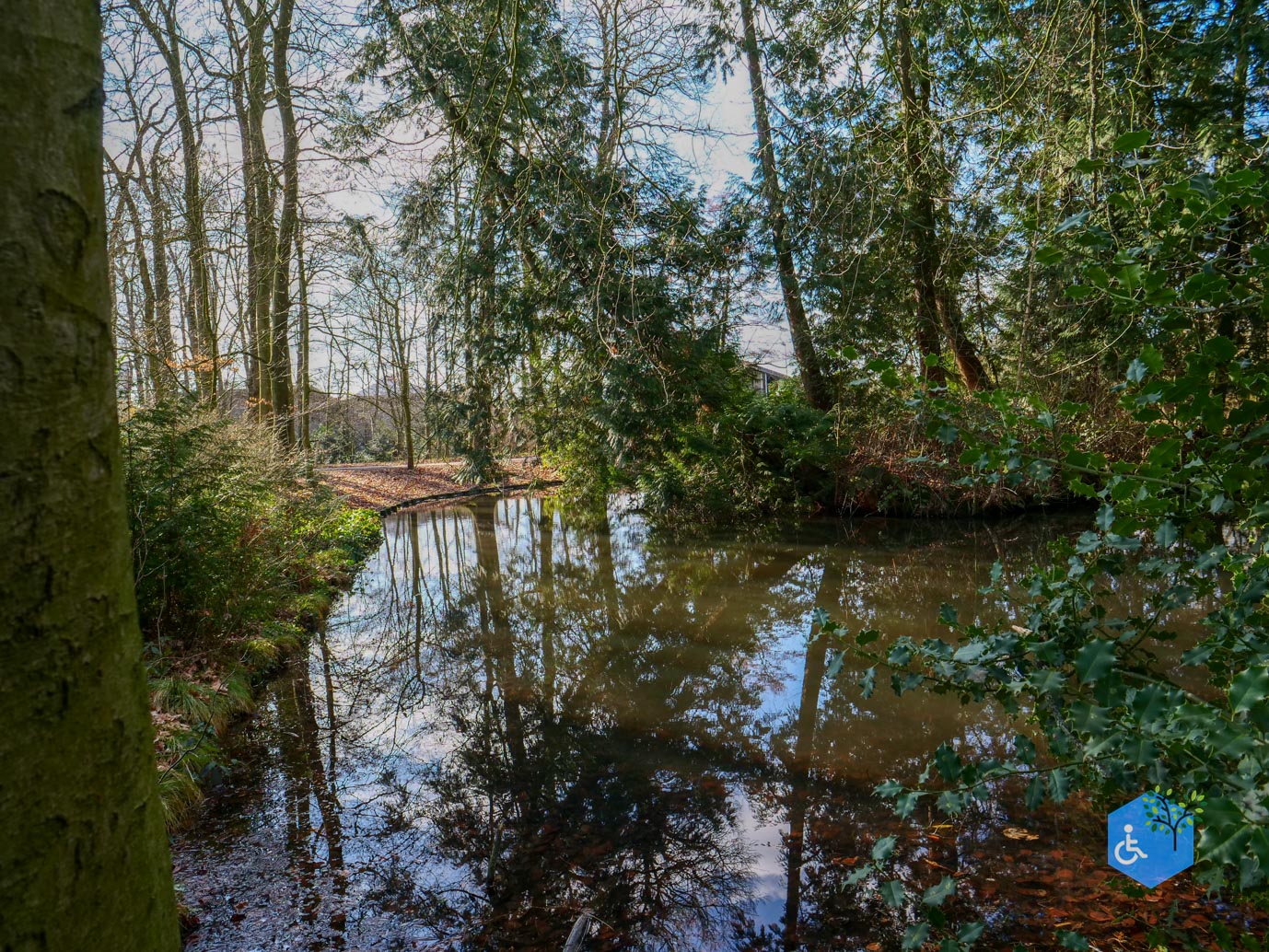 Amersfoort_Het_Beekdal_en_Park_Randenbroek_14-02-2026-44