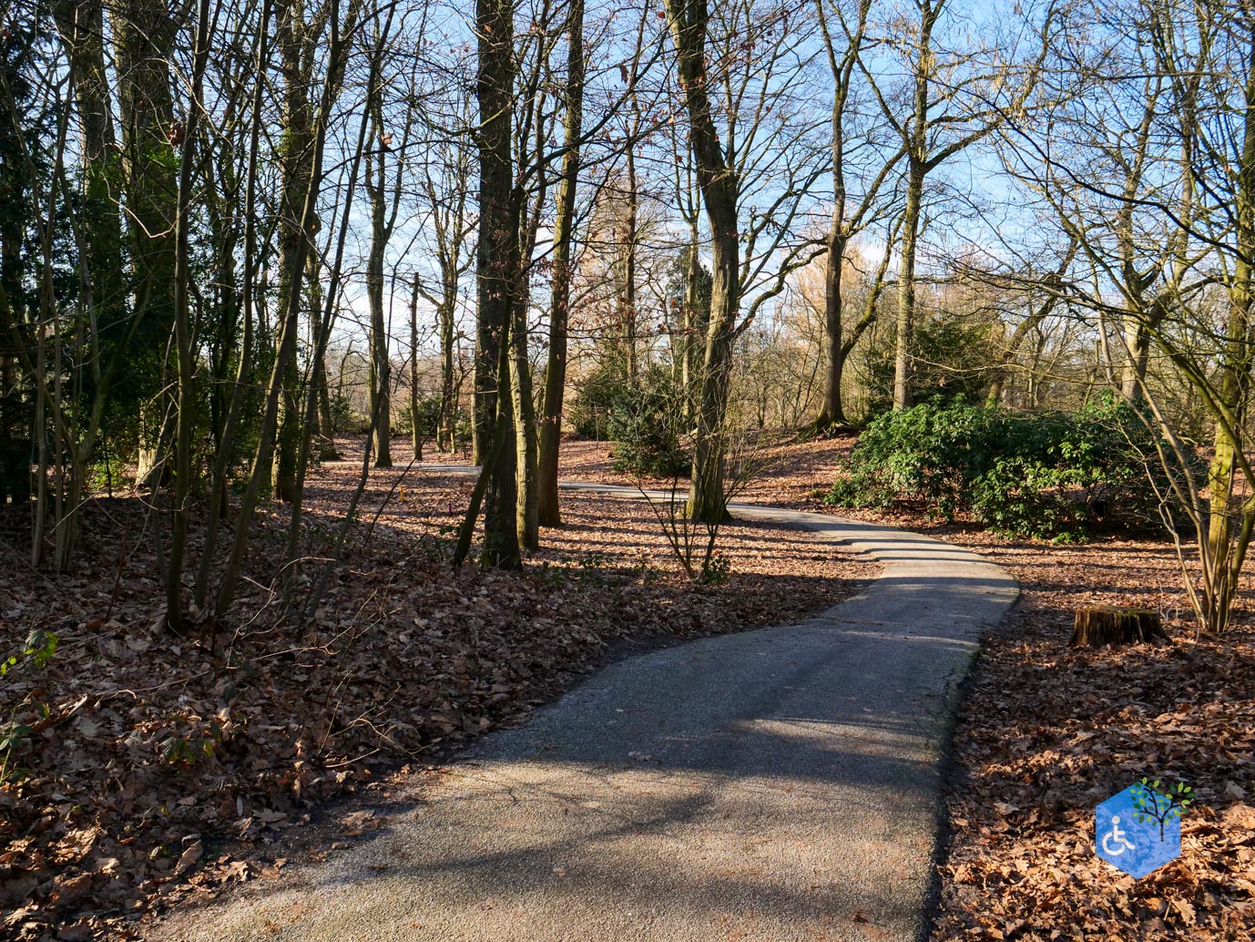 Amersfoort_Het_Beekdal_en_Park_Randenbroek_14-02-2026-61