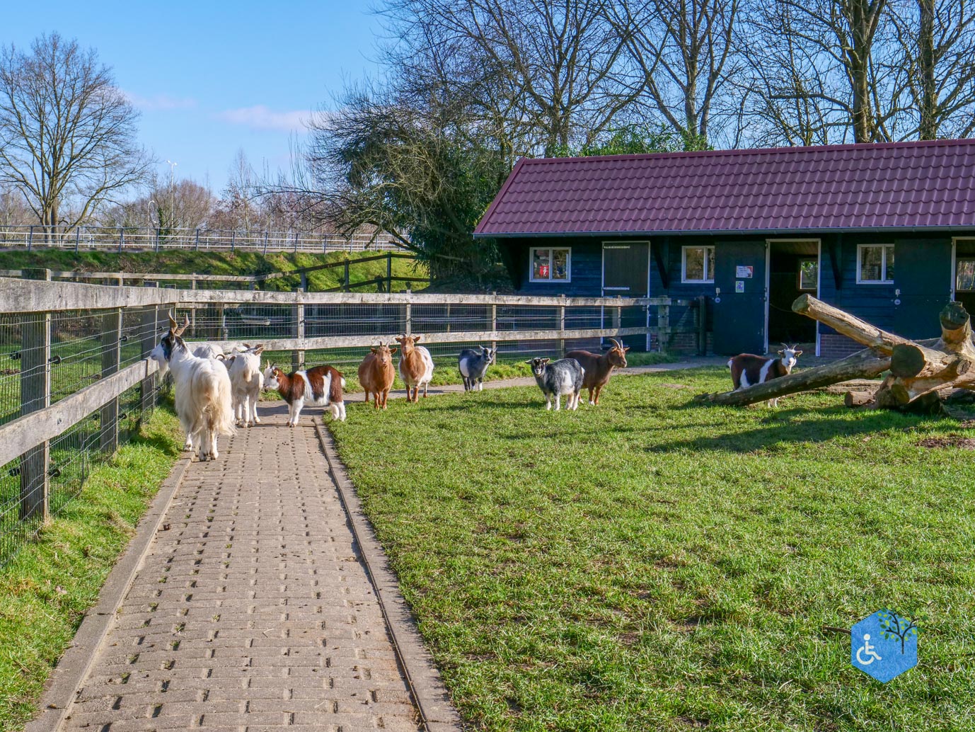 Amersfoort_Stadsboerderij_De_Vosheuvel_14-02-2026-12