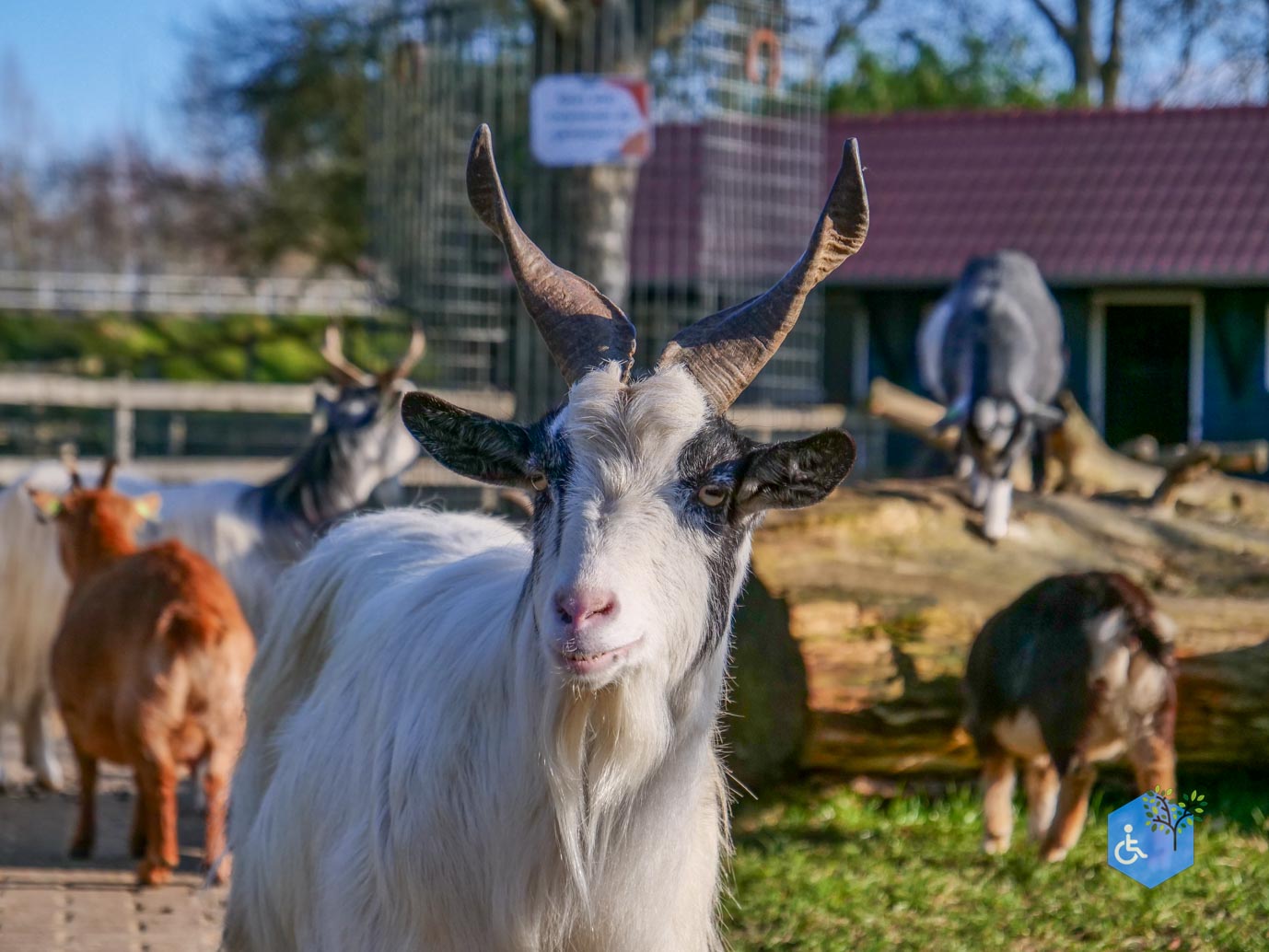 Amersfoort_Stadsboerderij_De_Vosheuvel_14-02-2026-28