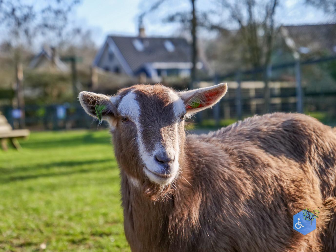 Amersfoort_Stadsboerderij_De_Vosheuvel_14-02-2026-29