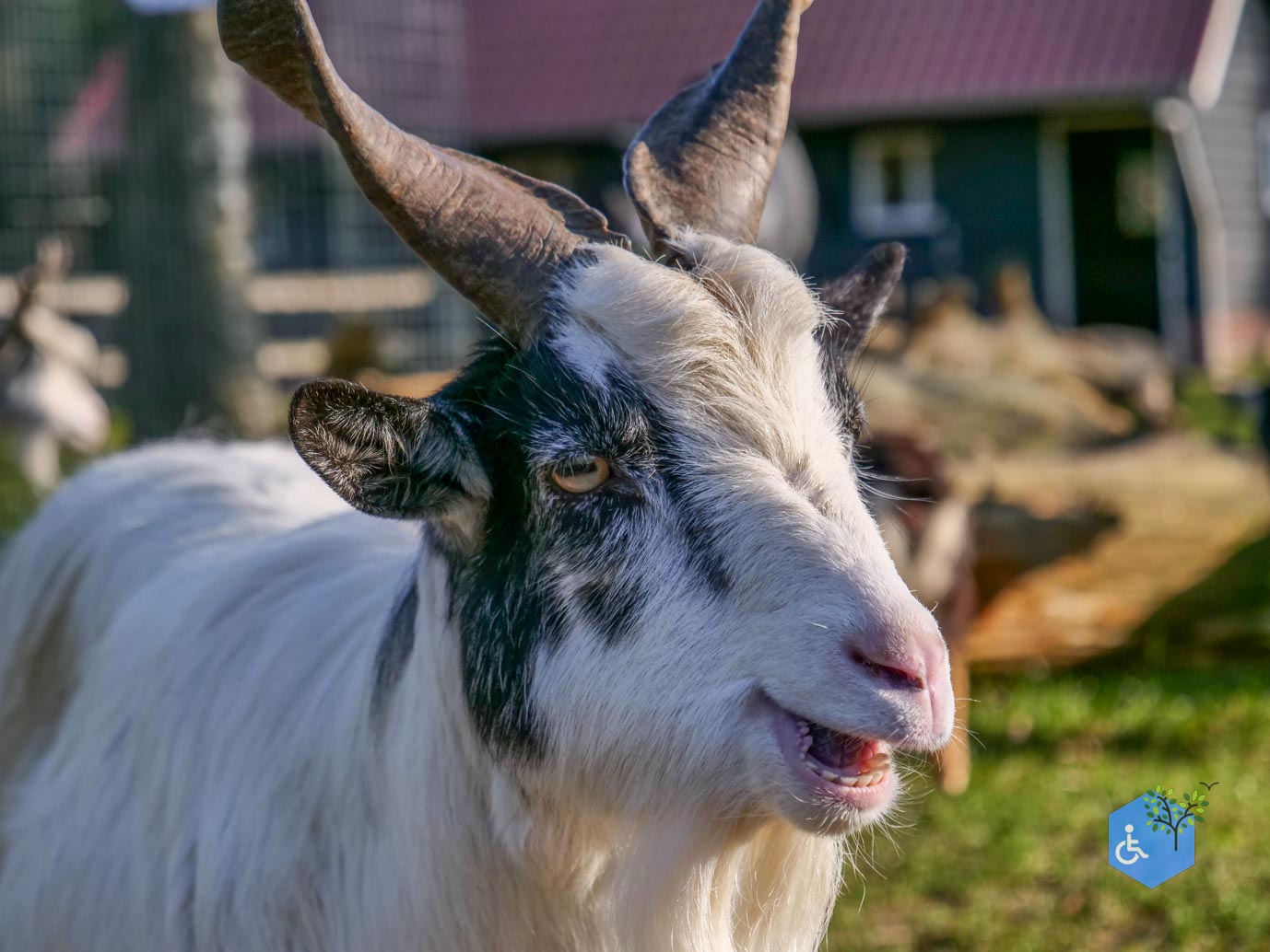 Amersfoort_Stadsboerderij_De_Vosheuvel_14-02-2026-30