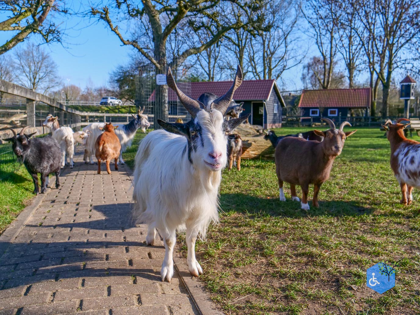 Amersfoort_Stadsboerderij_De_Vosheuvel_14-02-2026-31