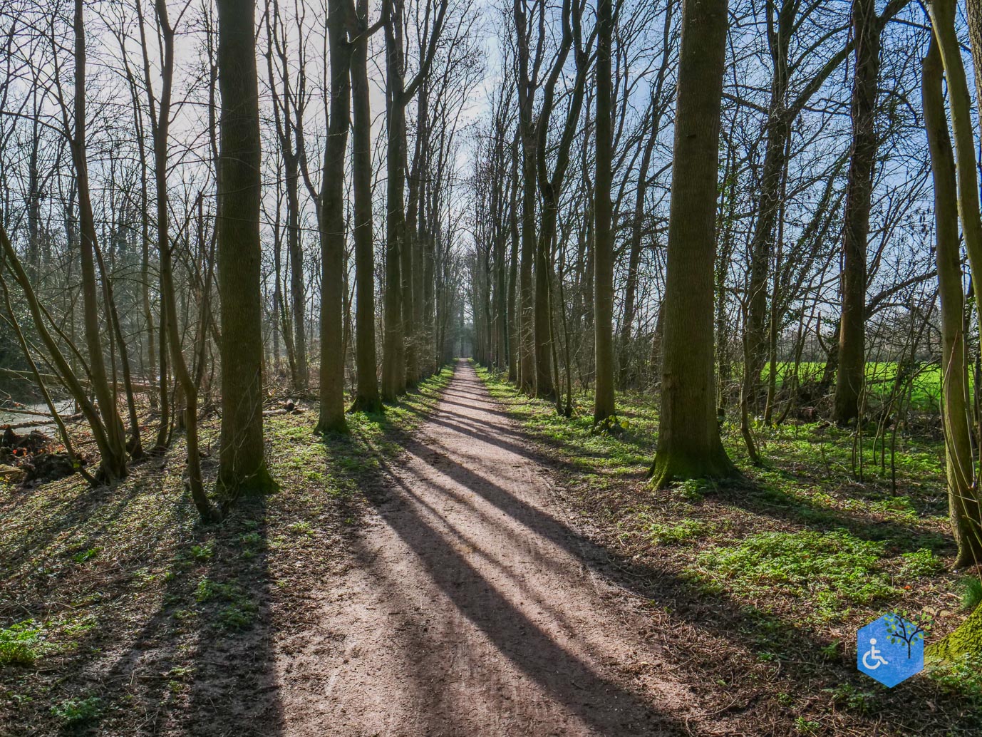 Brakel_Landgoed_Brakel_26-02-2026-5