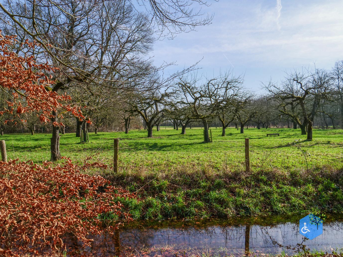 Brakel_Landgoed_Brakel_26-02-2026-9