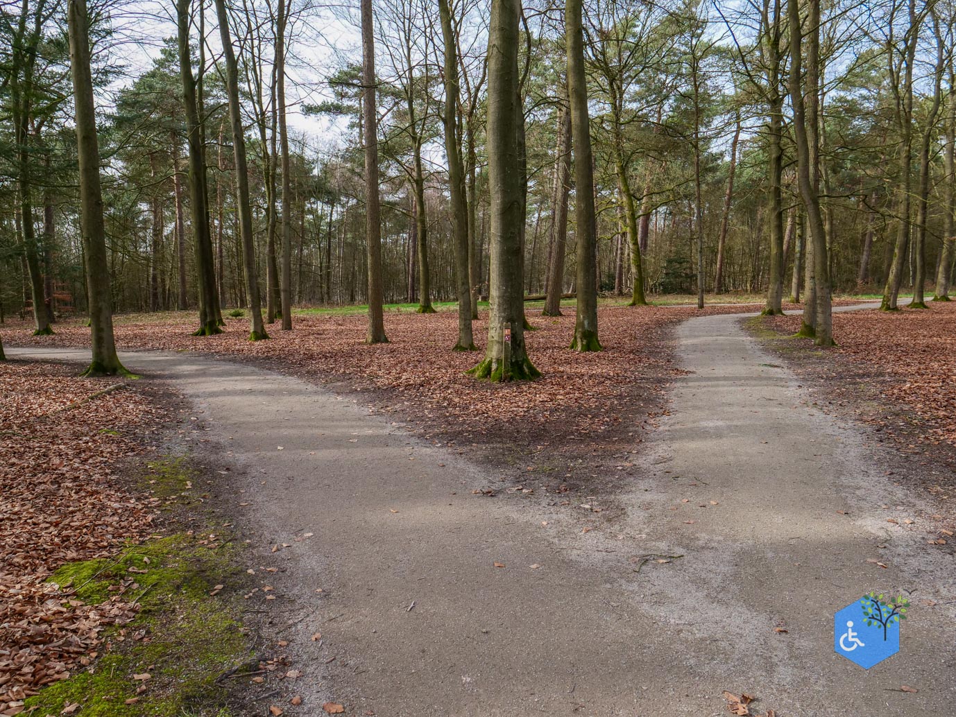 Eersel_Familiepad_Laarvenloopje_06-03-2026-17