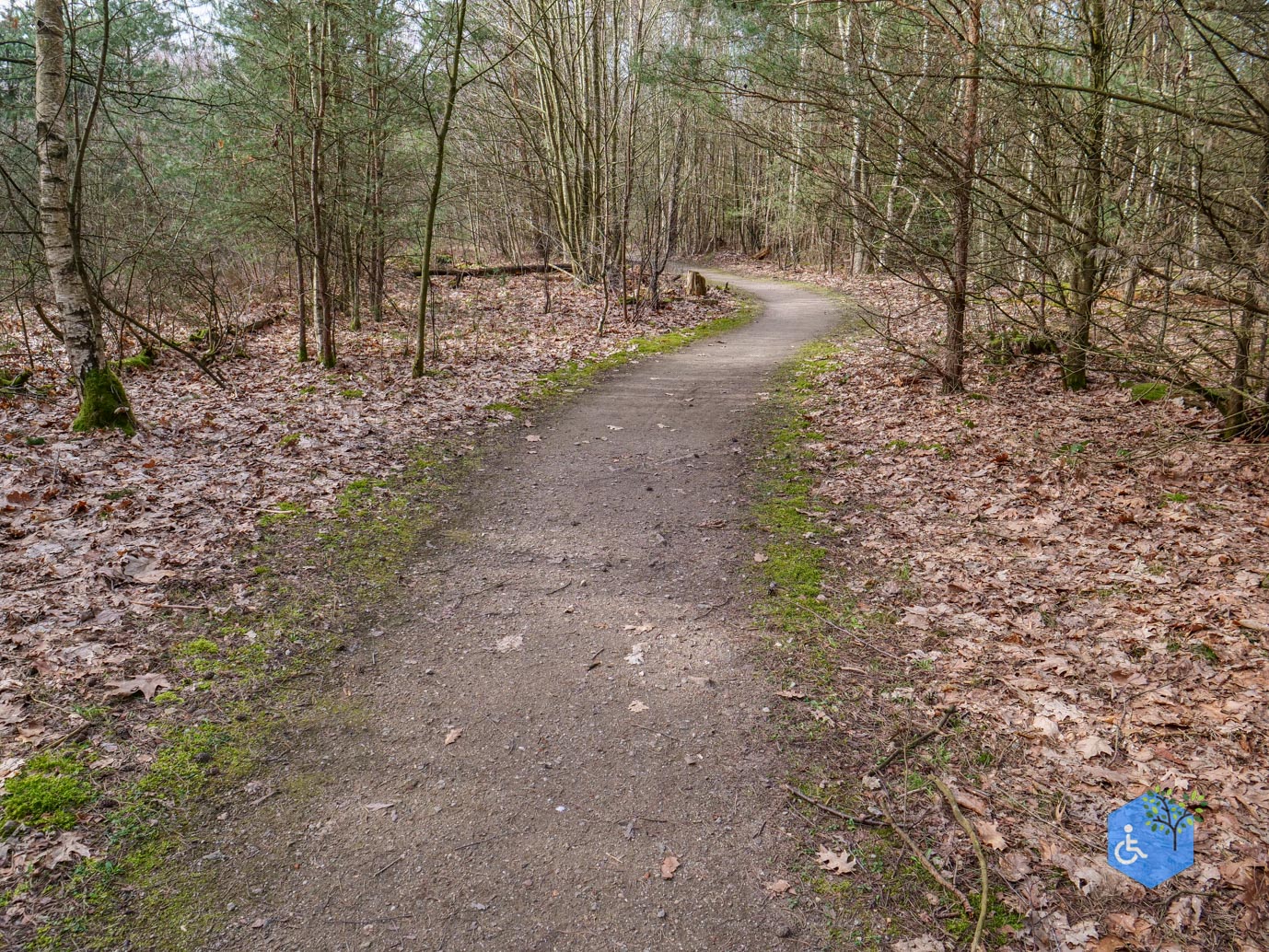 Eersel_Familiepad_Laarvenloopje_06-03-2026-19