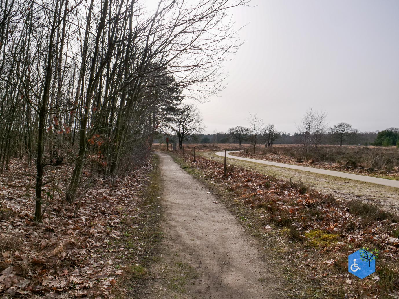 Eersel_Familiepad_Laarvenloopje_06-03-2026-21