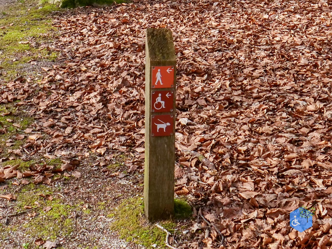 Eersel_Familiepad_Laarvenloopje_06-03-2026-31
