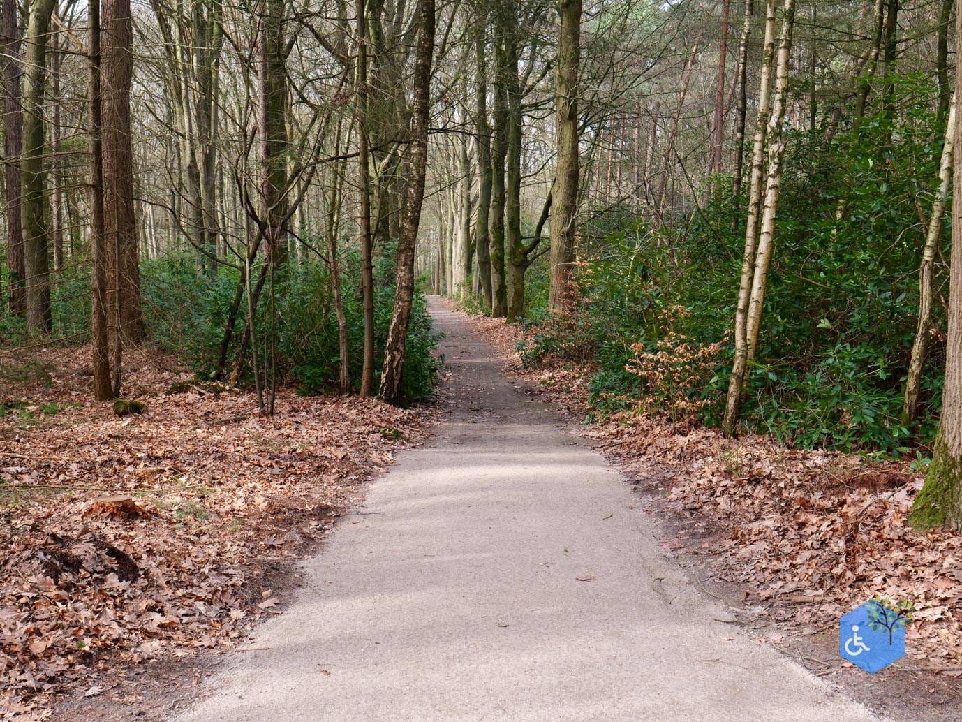 Diessen_Annaninas_Rust_06-03-2026-11