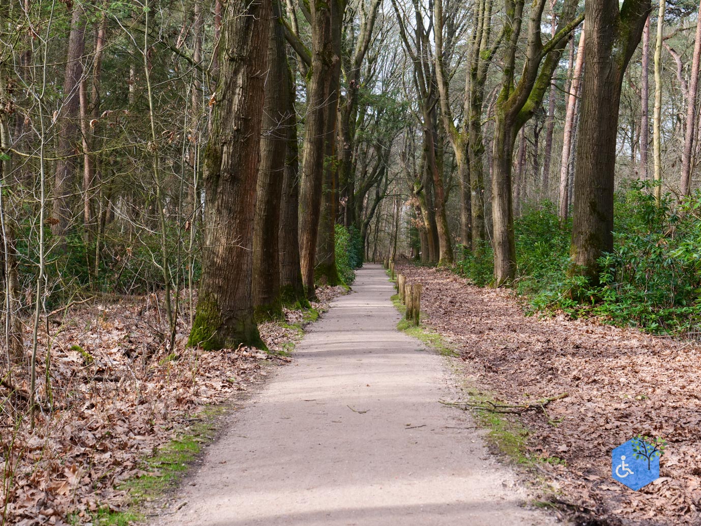 Diessen_Annaninas_Rust_06-03-2026-18