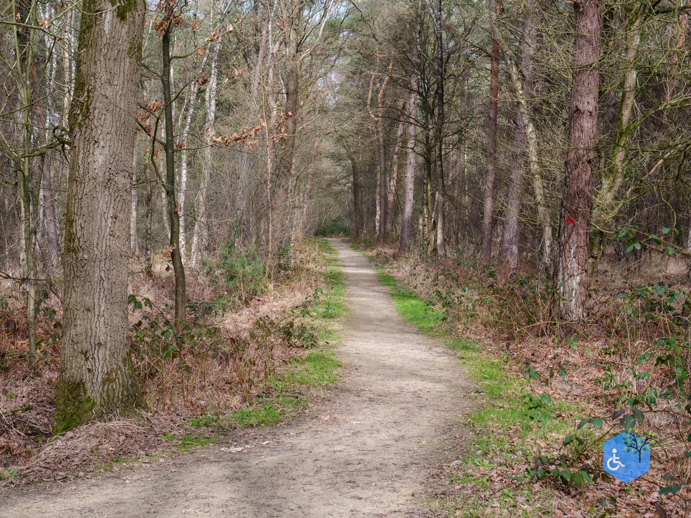 Diessen_Annaninas_Rust_06-03-2026-38