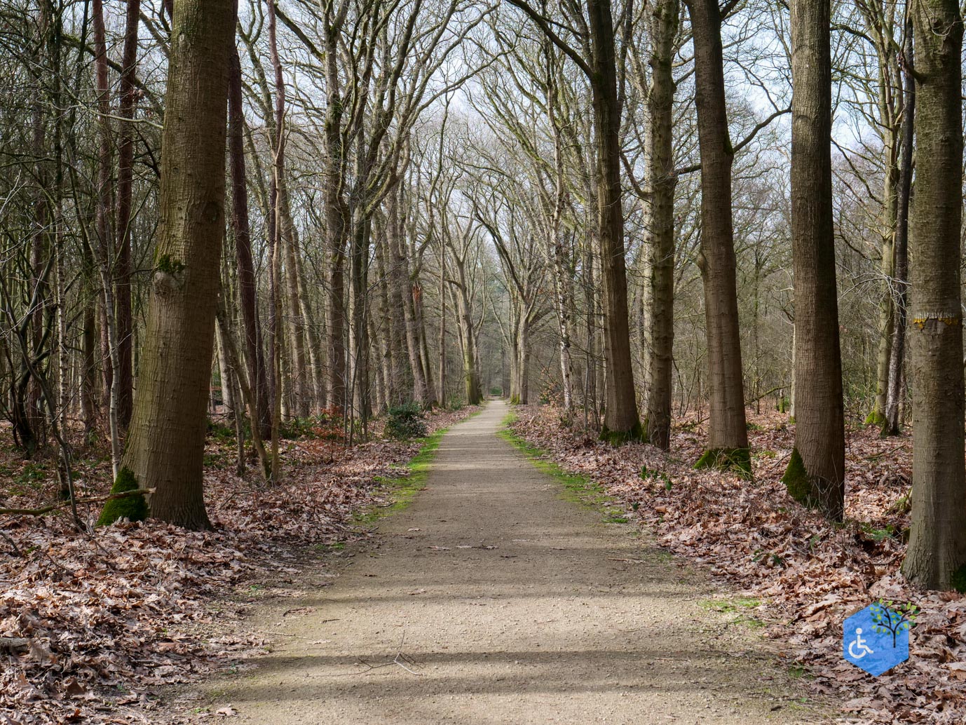 Diessen_Annaninas_Rust_06-03-2026-39