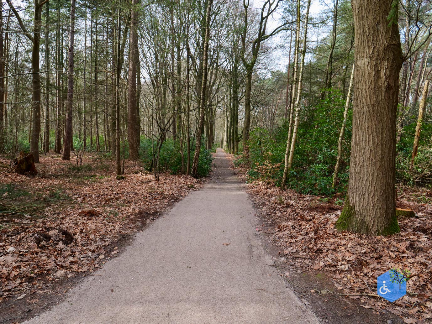 Diessen_Annaninas_Rust_06-03-2026-42