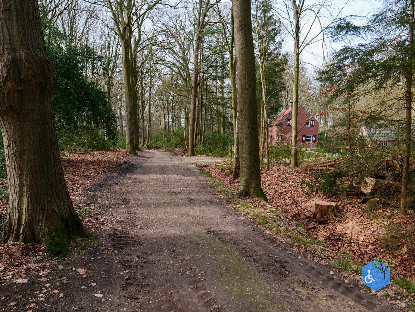 Diessen_Annaninas_Rust_06-03-2026-44