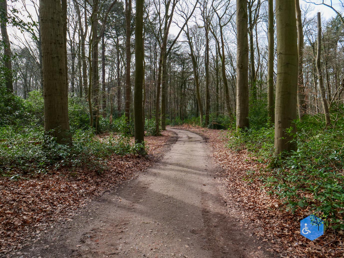 Diessen_Annaninas_Rust_06-03-2026-48