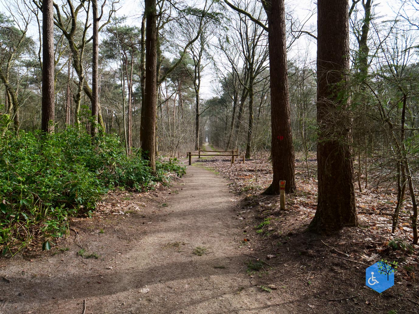 Diessen_Annaninas_Rust_06-03-2026-9