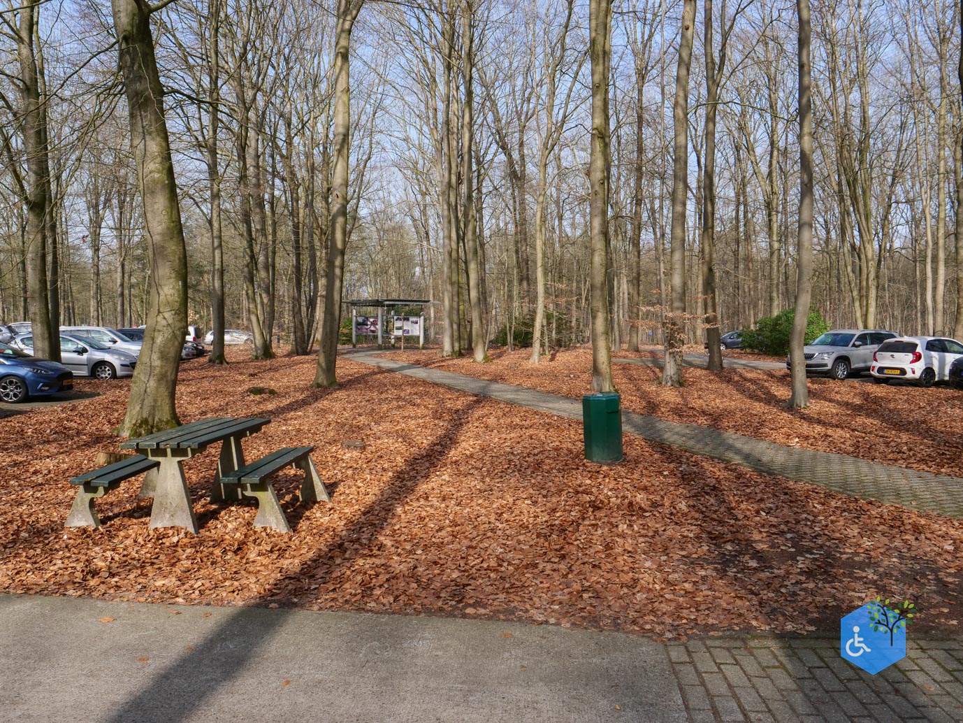 Hooghalen_Melkwegpad_en_Bospad_08-03-2026-1