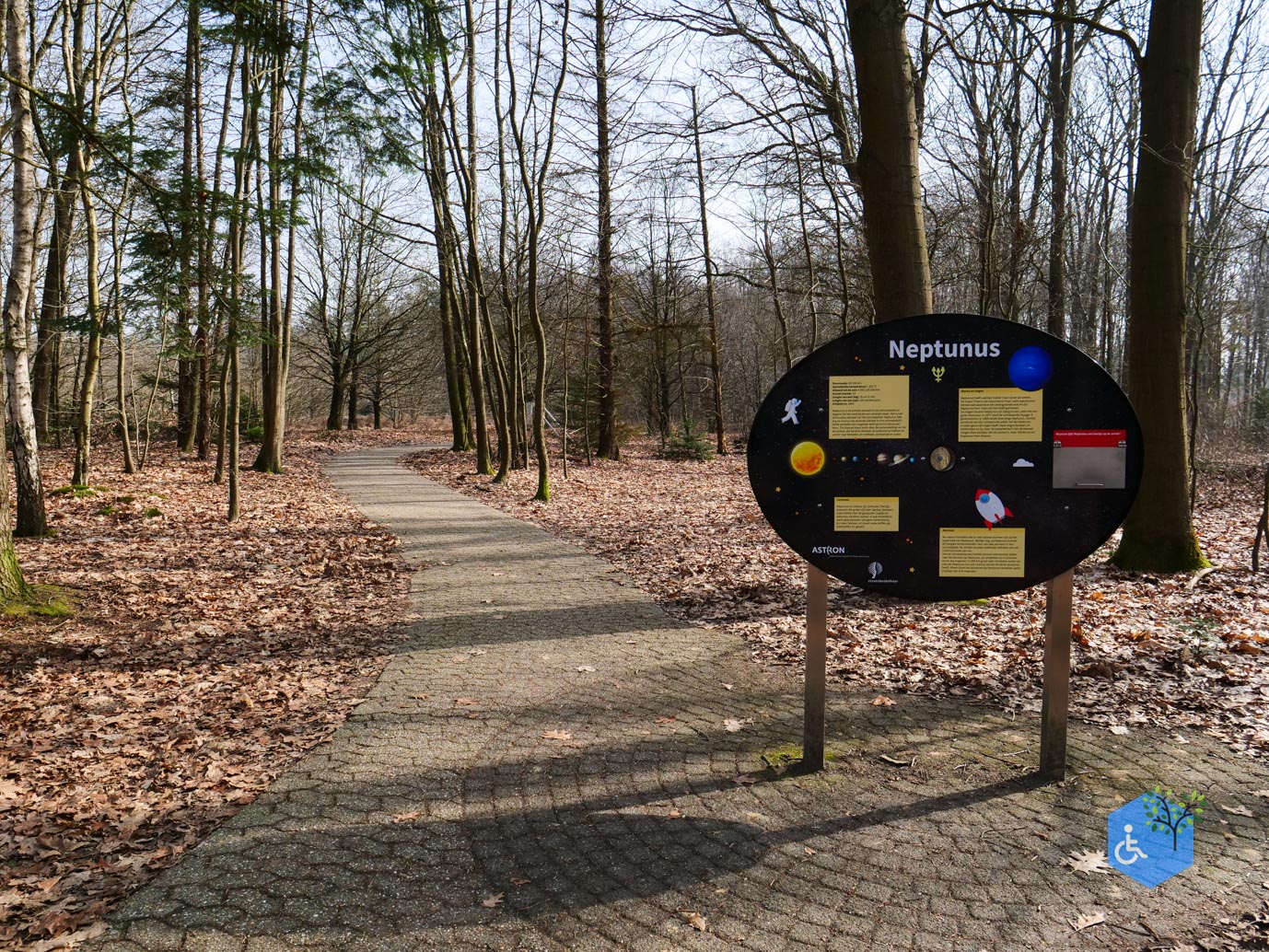 Hooghalen_Melkwegpad_en_Bospad_08-03-2026-12