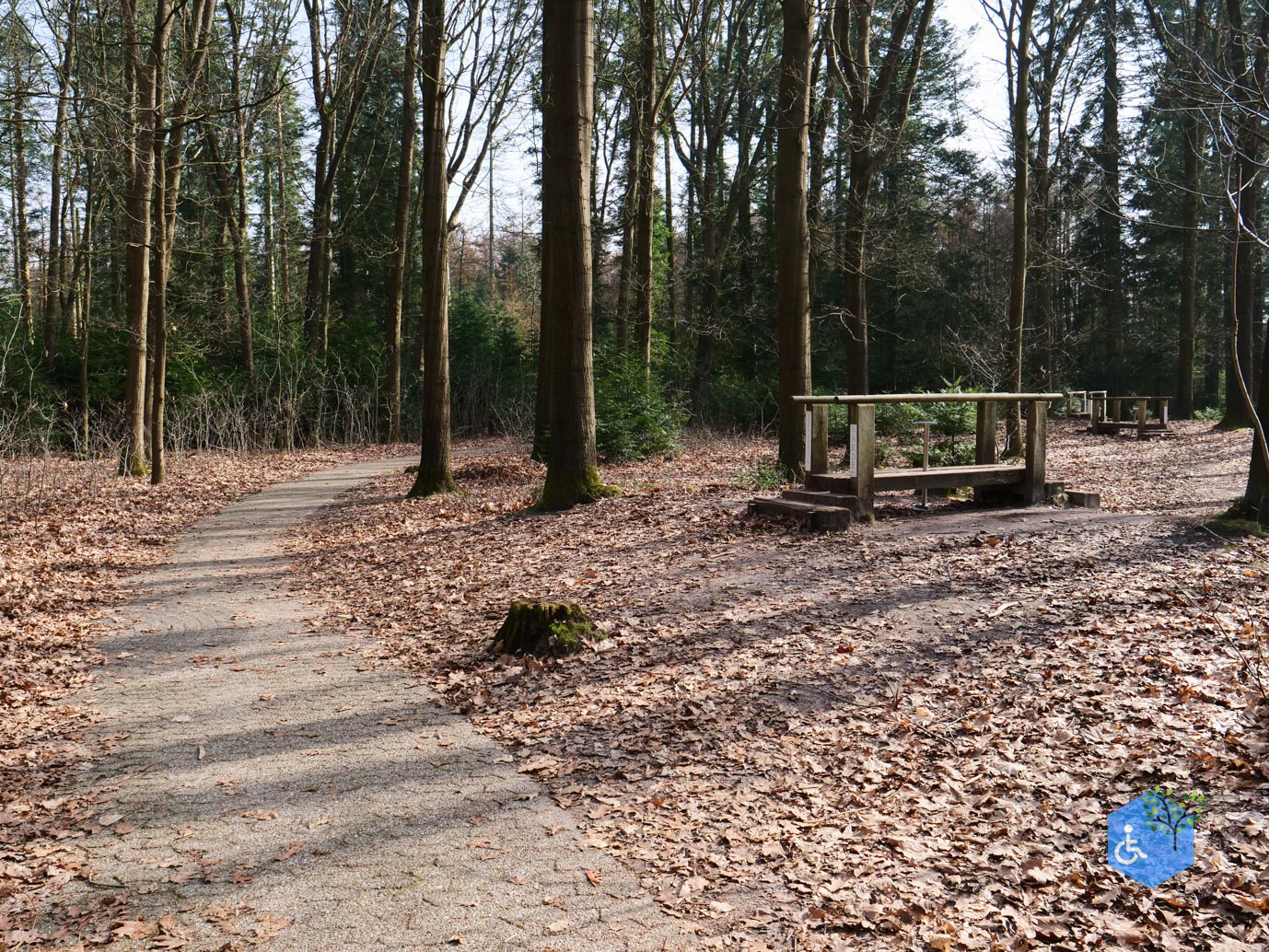 Hooghalen_Melkwegpad_en_Bospad_08-03-2026-18