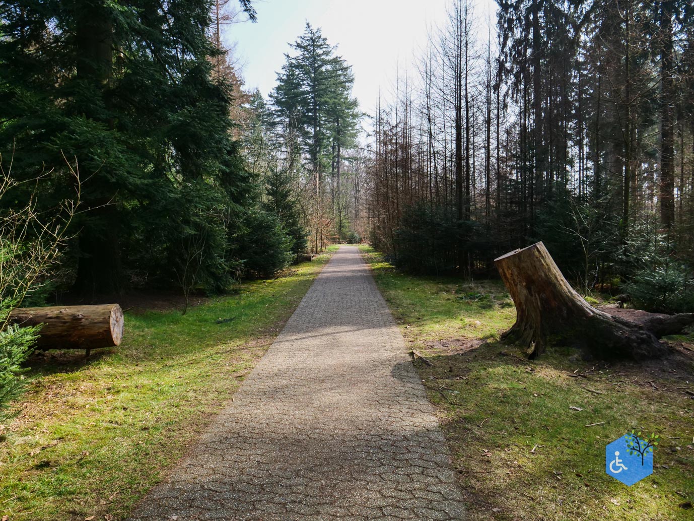 Hooghalen_Melkwegpad_en_Bospad_08-03-2026-21