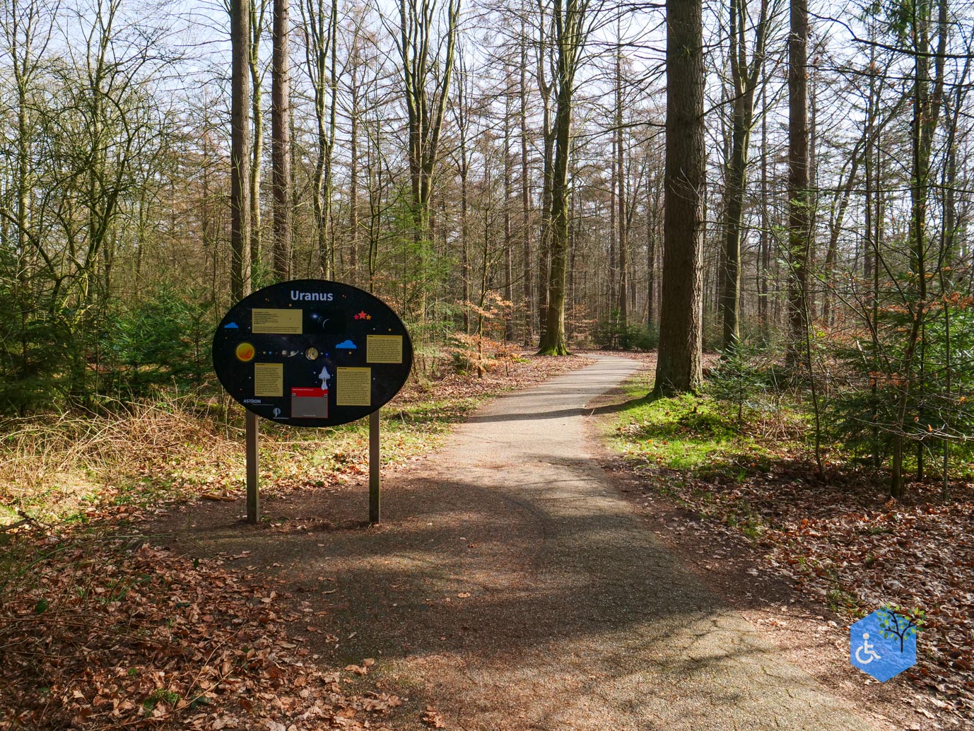 Hooghalen_Melkwegpad_en_Bospad_08-03-2026-22