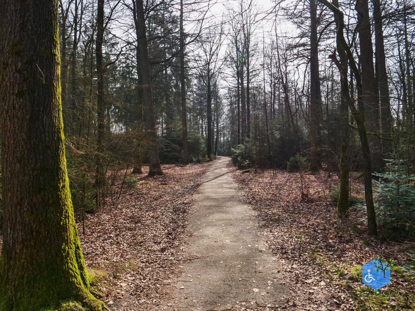 Hooghalen_Melkwegpad_en_Bospad_08-03-2026-25