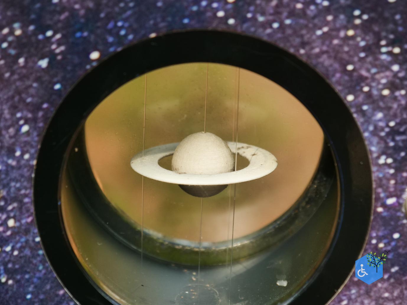 Hooghalen_Melkwegpad_en_Bospad_08-03-2026-26