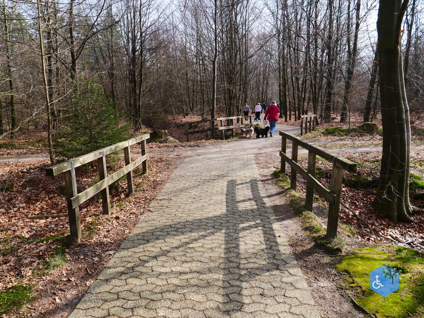 Hooghalen_Melkwegpad_en_Bospad_08-03-2026-27