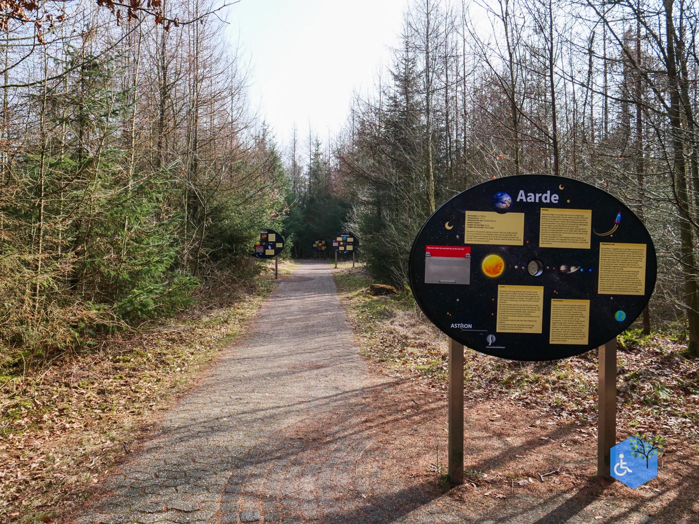 Hooghalen_Melkwegpad_en_Bospad_08-03-2026-32