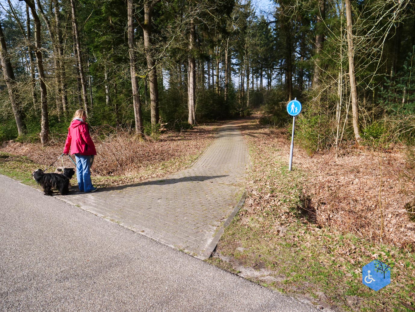 Hooghalen_Melkwegpad_en_Bospad_08-03-2026-39