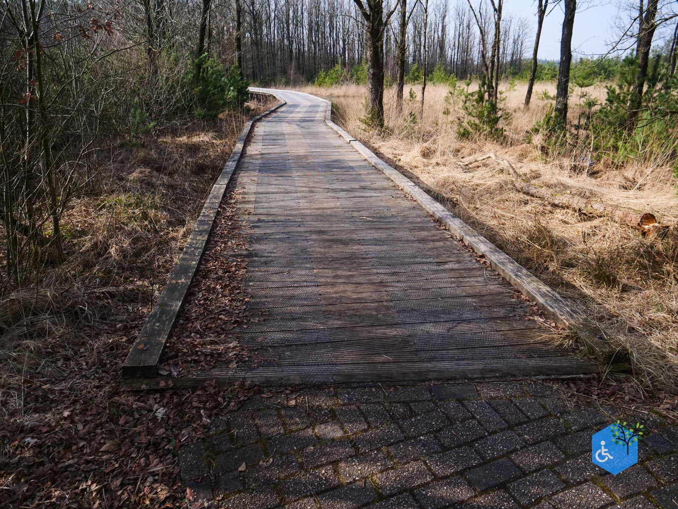 Hooghalen_Melkwegpad_en_Bospad_08-03-2026-45