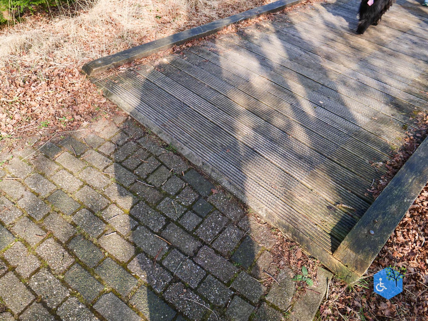 Hooghalen_Melkwegpad_en_Bospad_08-03-2026-48