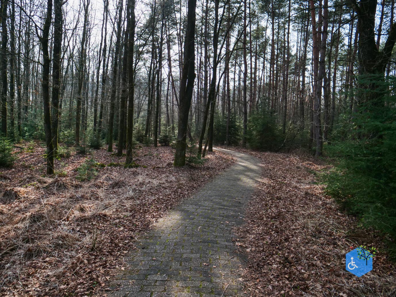 Hooghalen_Melkwegpad_en_Bospad_08-03-2026-49