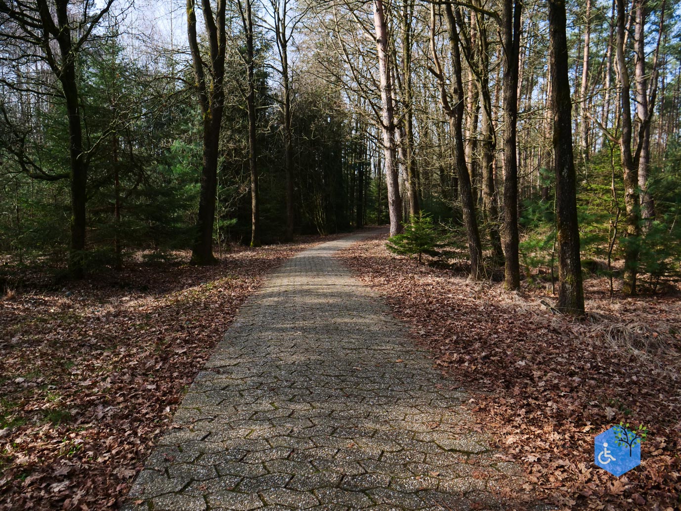 Hooghalen_Melkwegpad_en_Bospad_08-03-2026-50