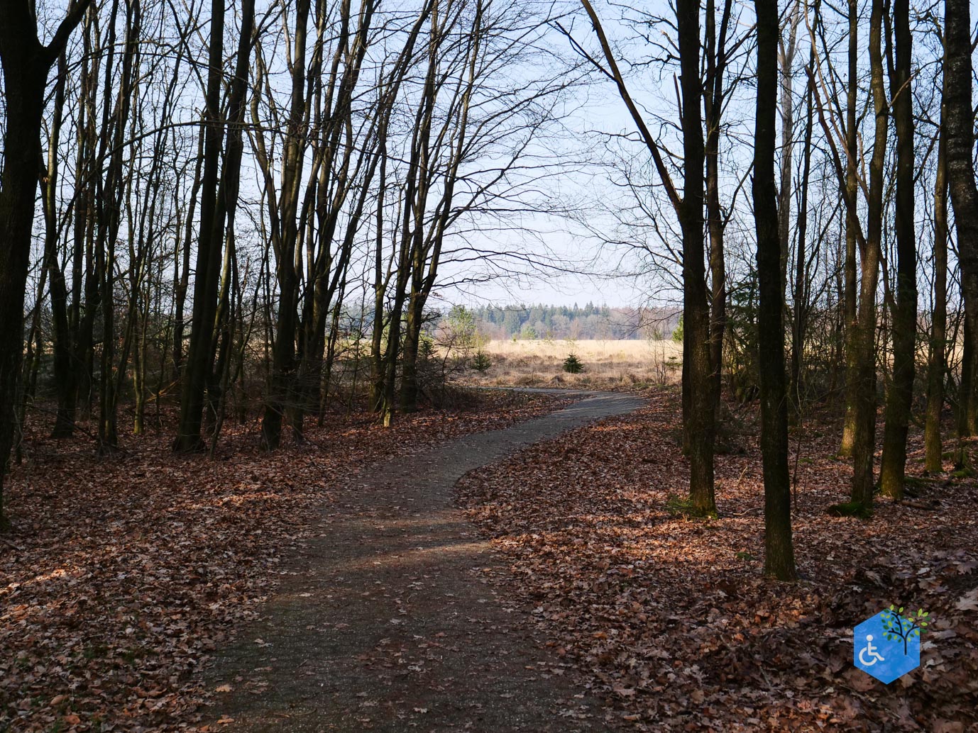 Hooghalen_Melkwegpad_en_Bospad_08-03-2026-54