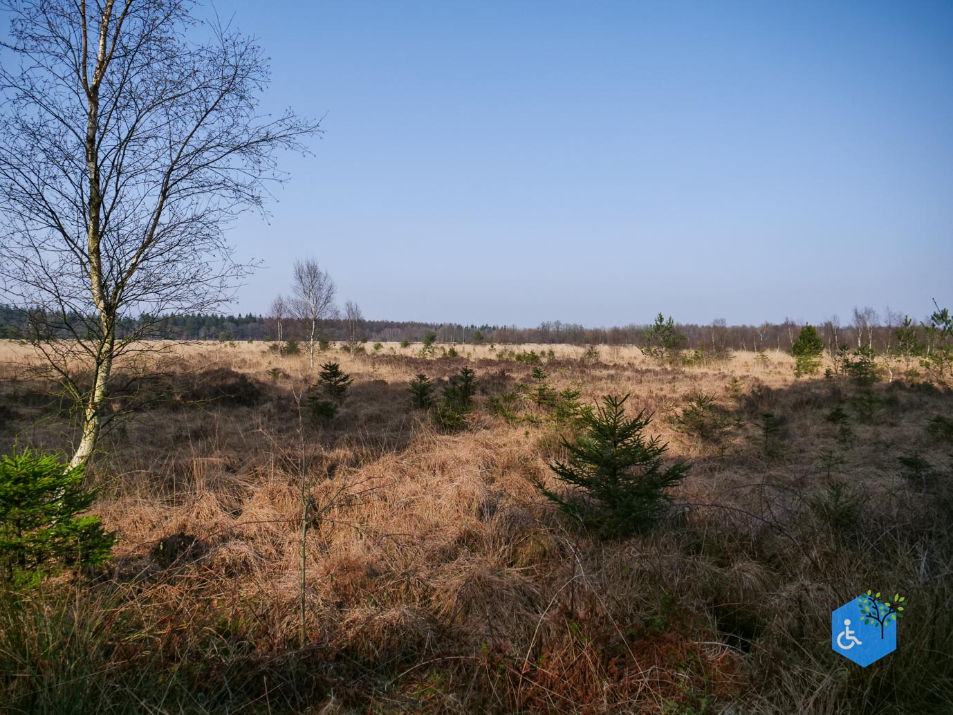 Hooghalen_Melkwegpad_en_Bospad_08-03-2026-56