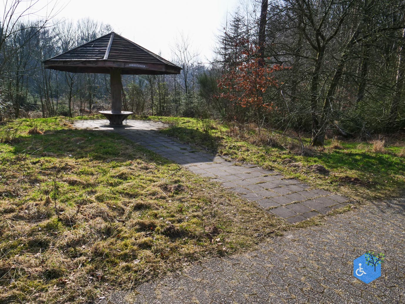 Hooghalen_Melkwegpad_en_Bospad_08-03-2026-57