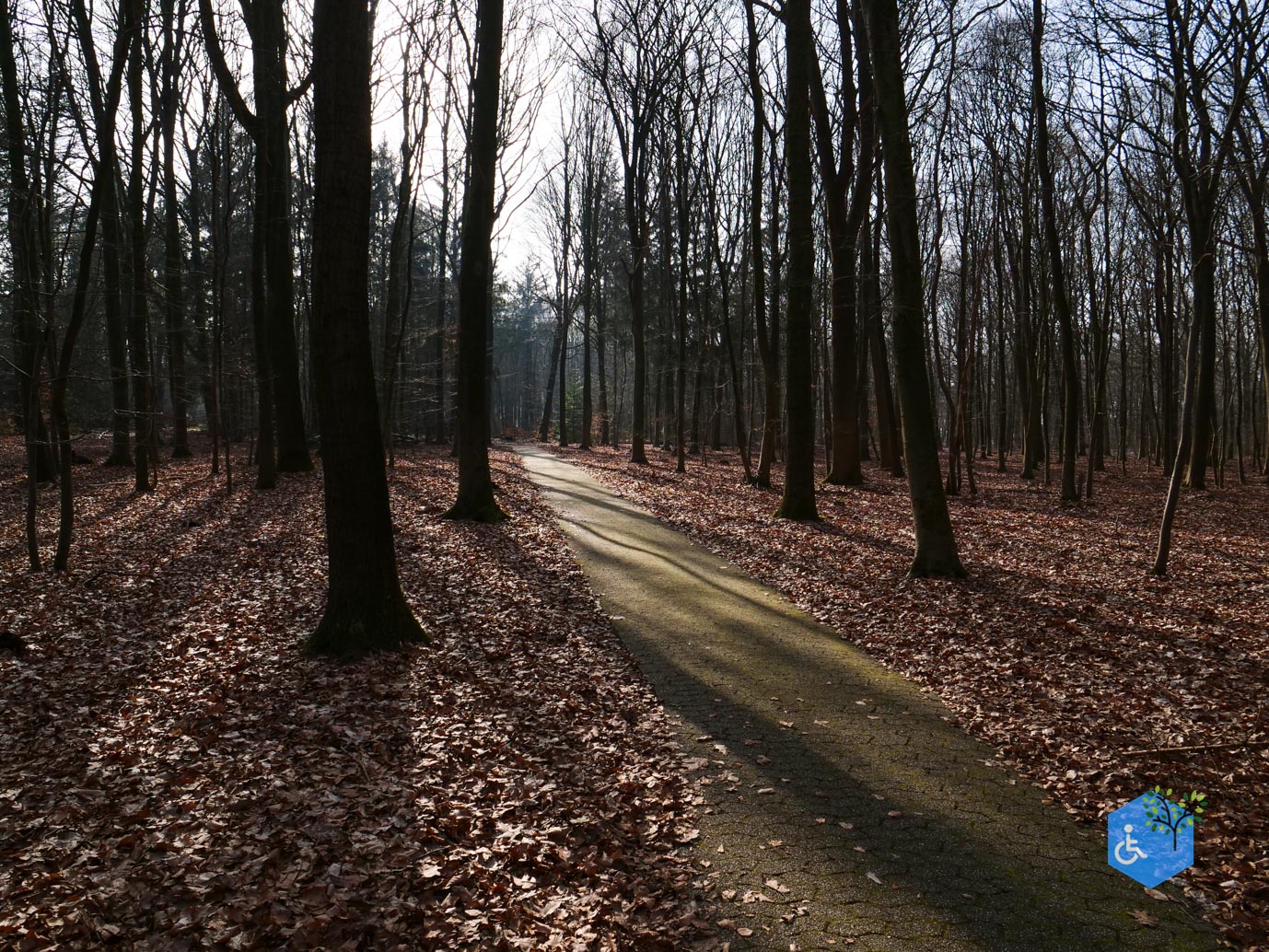 Hooghalen_Melkwegpad_en_Bospad_08-03-2026-61