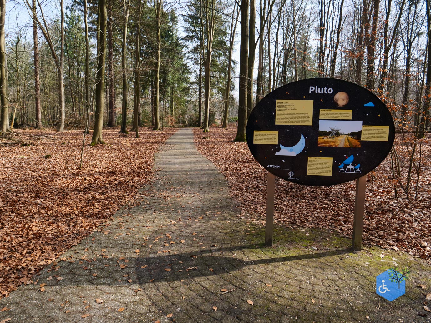 Hooghalen_Melkwegpad_en_Bospad_08-03-2026-8