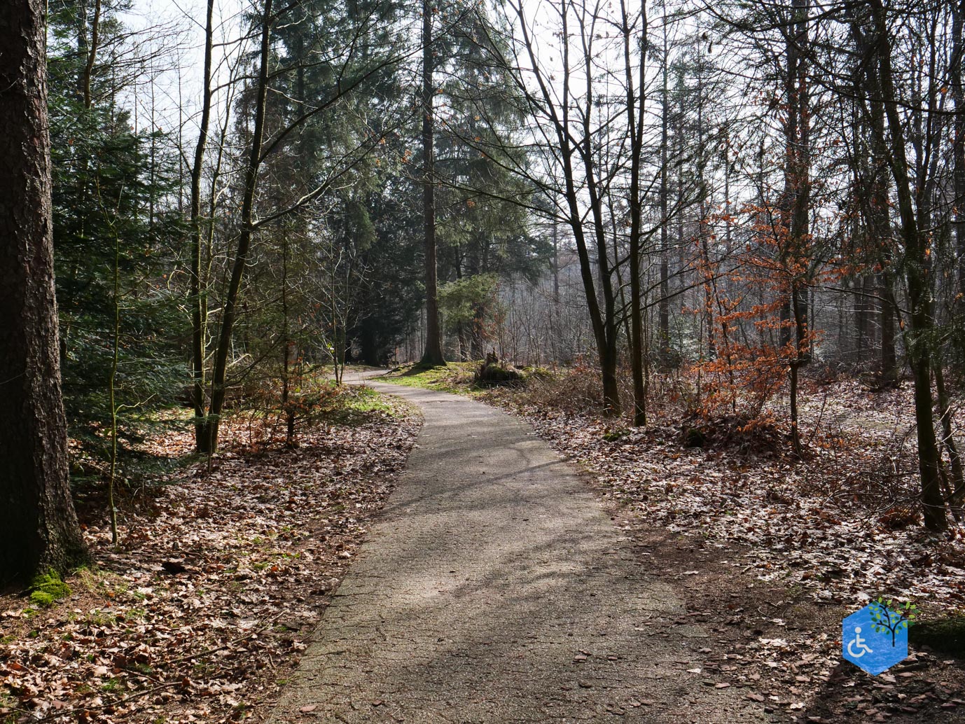 Hooghalen_Melkwegpad_en_Bospad_08-03-2026-9