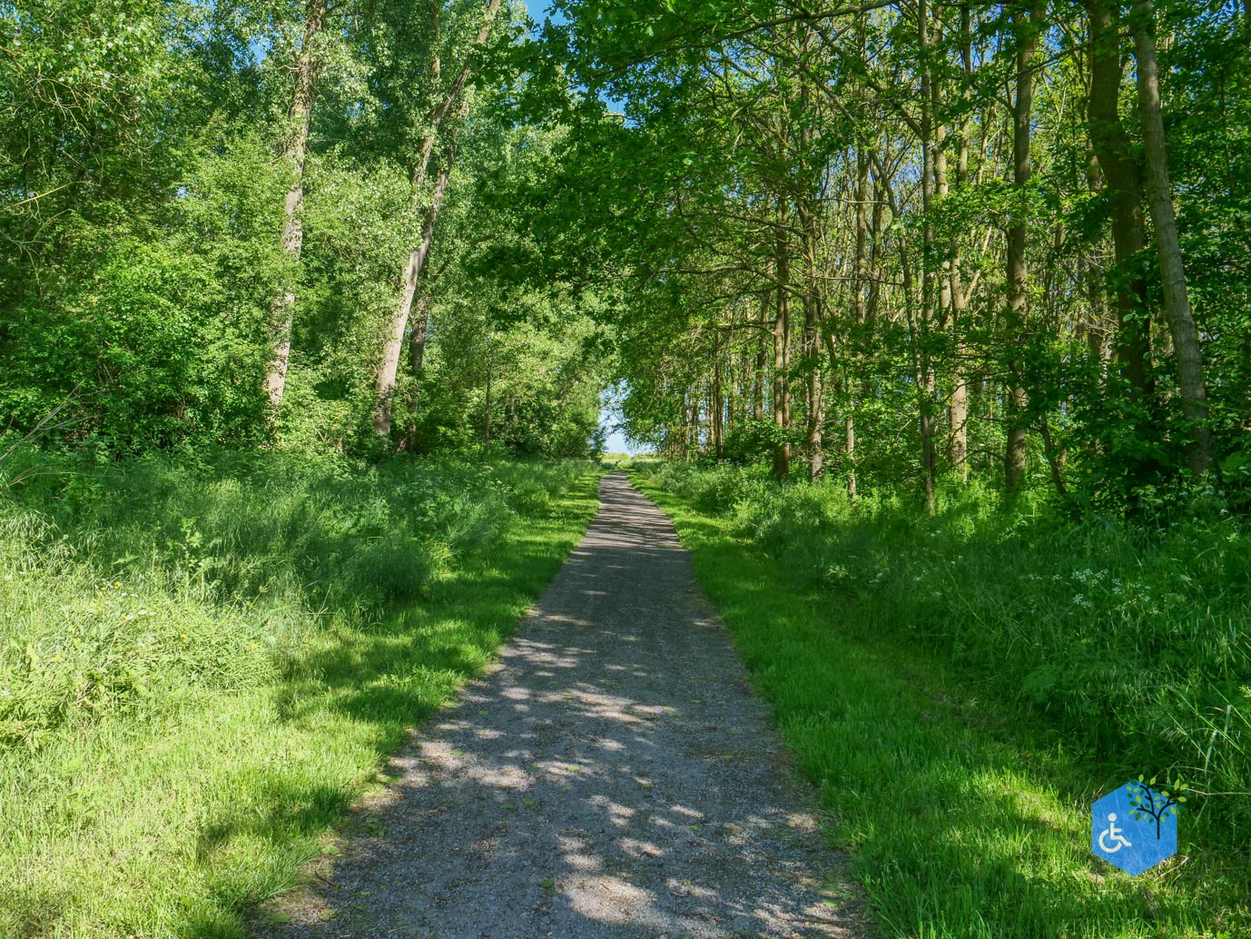 Almere_Scheepswrakkenroute_Pampushout_22-05-2026-14